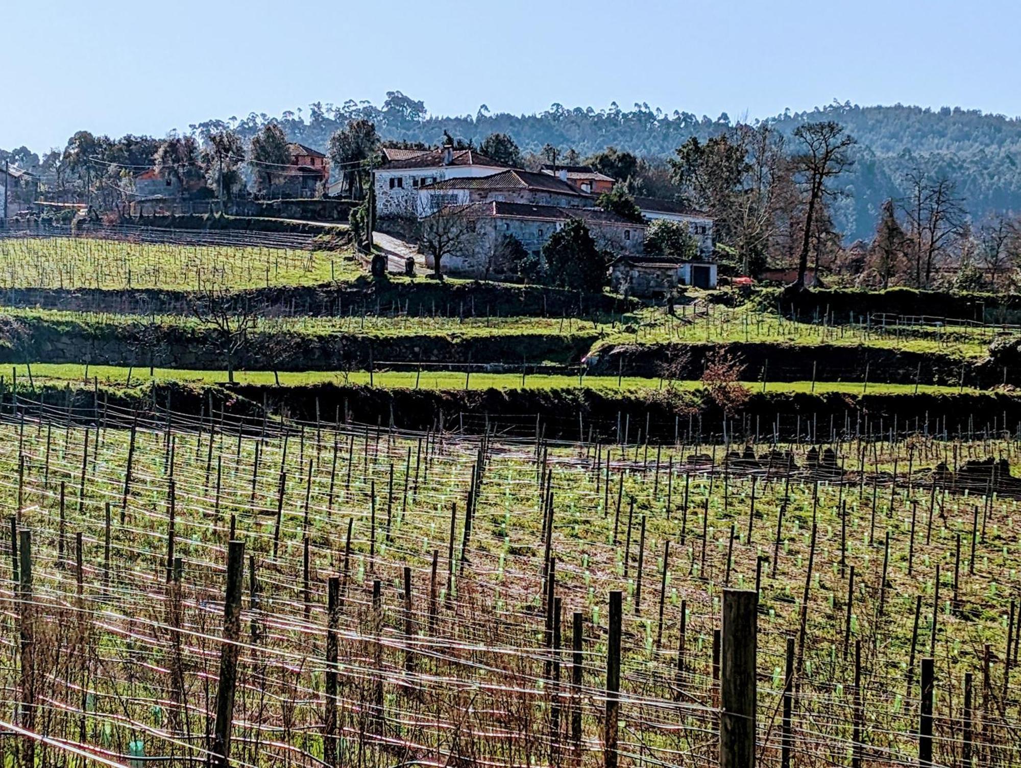 Quinta Da Lage Agroturismo E Enoturismo Celorico De Basto Exterior photo